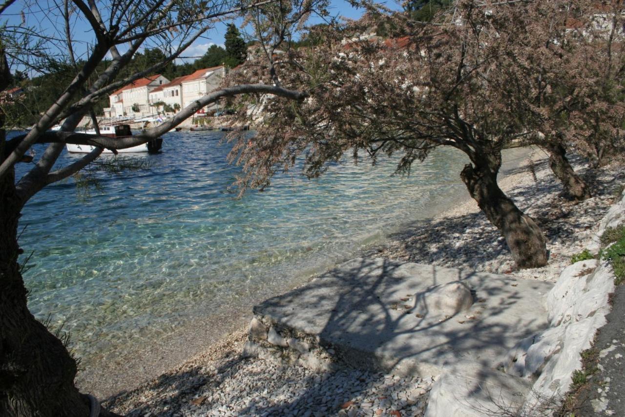 Apartments And Rooms By The Sea Racisce, Korcula - 4341 Екстер'єр фото